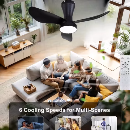 Metal Ceiling Fan Light